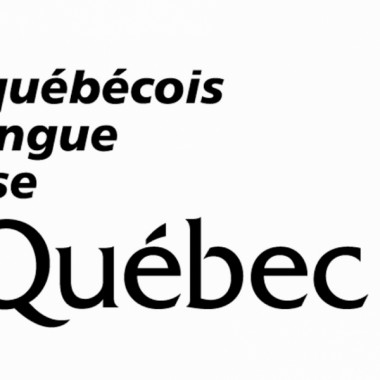 Collecte de données pour le rapport annuel sur l'application de la Charte de la langue française