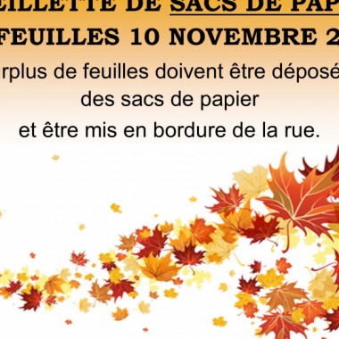 Cueillette de feuilles - Lundi 10 novembre 2025