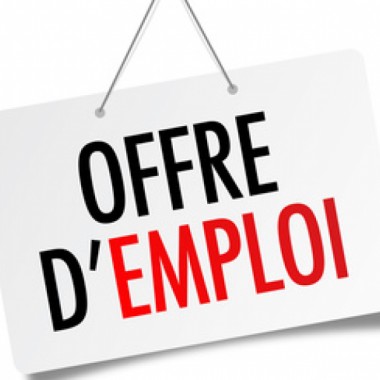 Le camp de jour de Saint-Albert recrute !!!!!! Faites-nous parvenir votre curriculum vitae avant le 27 mars 23h59 !